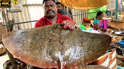Brown Ray Fish cutting ‍ brown Ray meen cutting  .